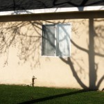 Tree shadow over house